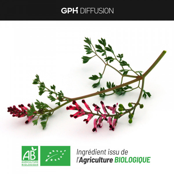 Fumeterre bio -200 gélules végétales 200mg