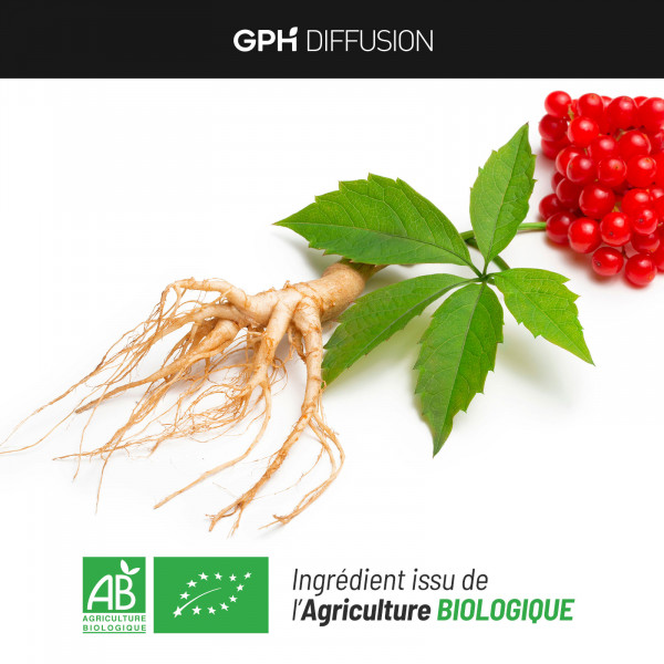 Ginseng rouge racine biologique 300 mg