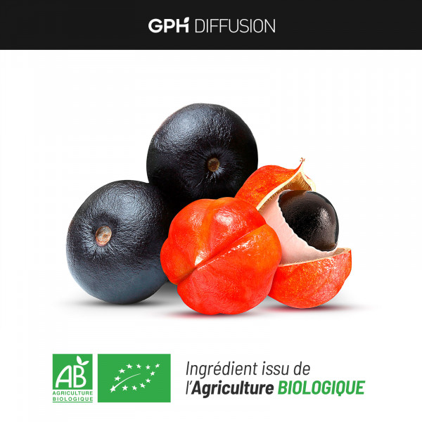 Guarana biologique 300 mg