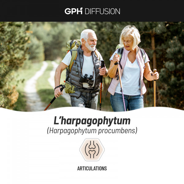 Harpagophytum Bio en gélules