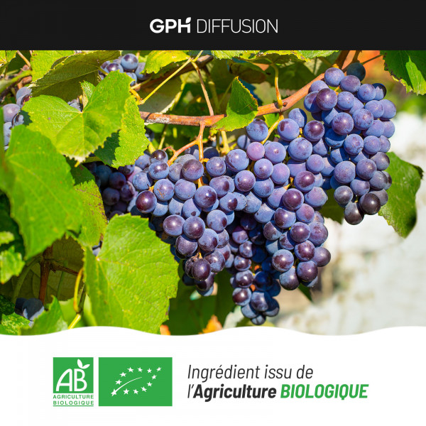 Marc de Raisin Bio - 360mg - Gélules végétales