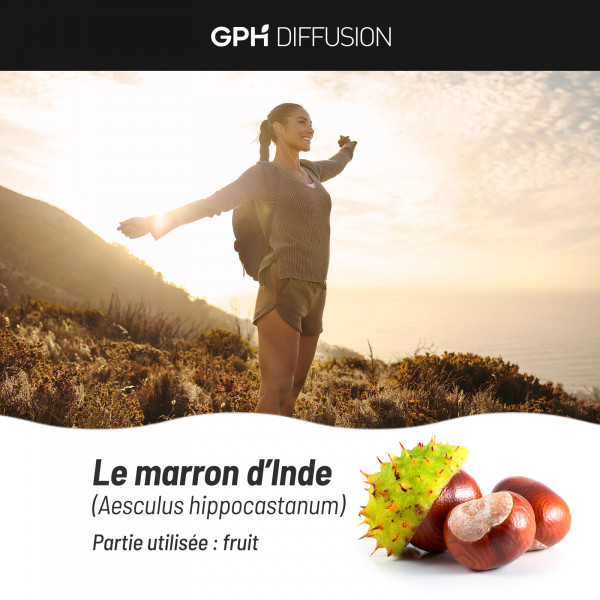 Marron d'Inde biologique 250 mg