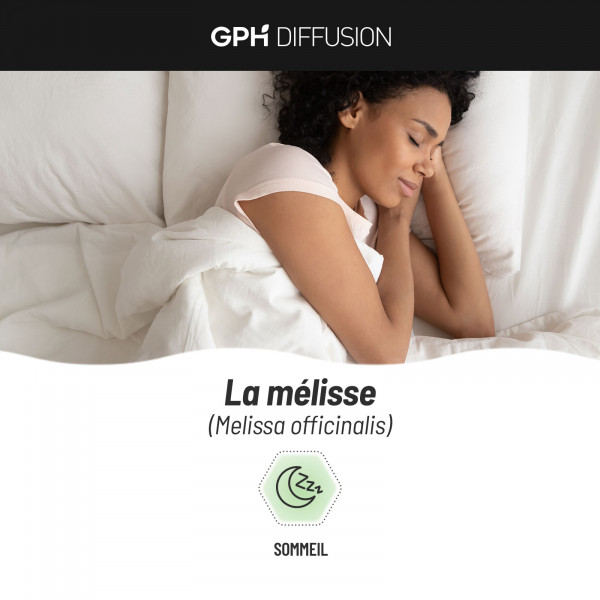 Mélisse Bio - 250 mg - 200 Gélules Végétales