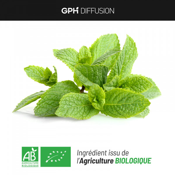 Mélisse Bio - 250 mg - 200 Gélules Végétales