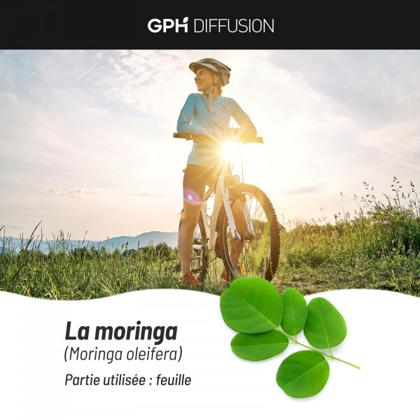 Moringa oleifera biologique - 400mg