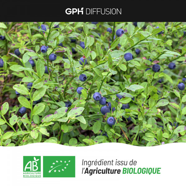 Baie de Myrtille Bio - 200 gélules
