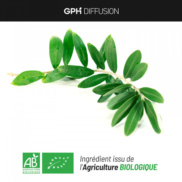Olivier feuille biologique 200 mg