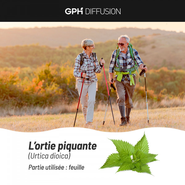 Ortie Bio Feuille - 200 gélules végétales