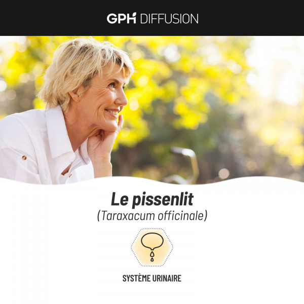 Pissenlit Bio - 200 gélules végétales