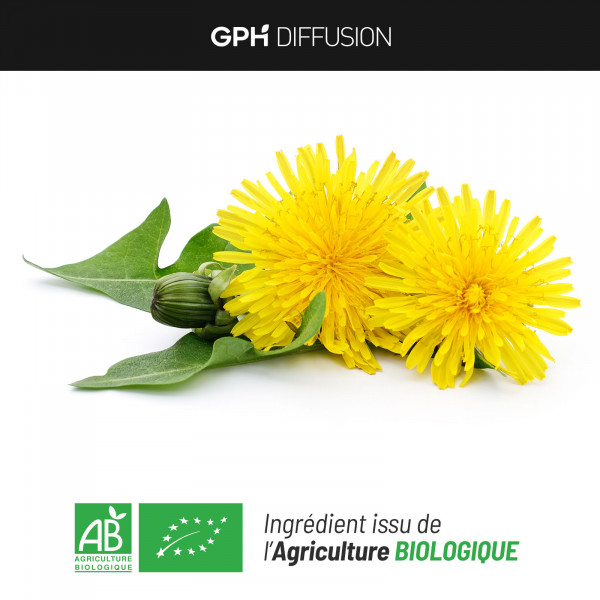 Pissenlit Bio - 200 gélules végétales