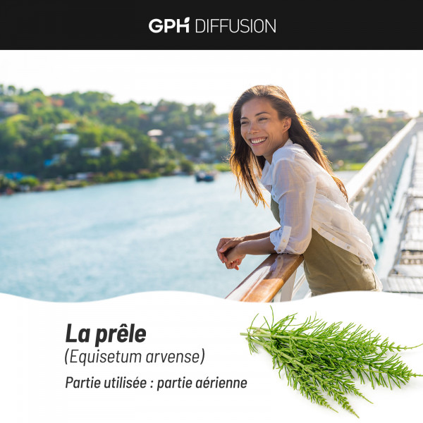 Prêle biologique 190 mg