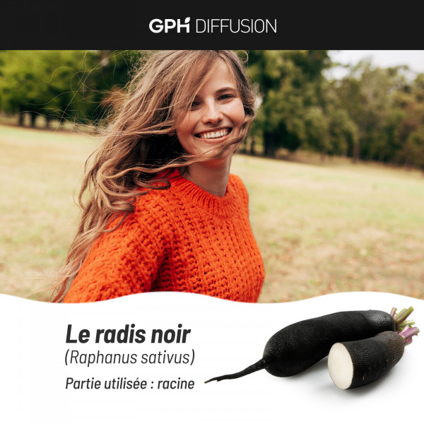 Radis Noir bio - 200 gélules