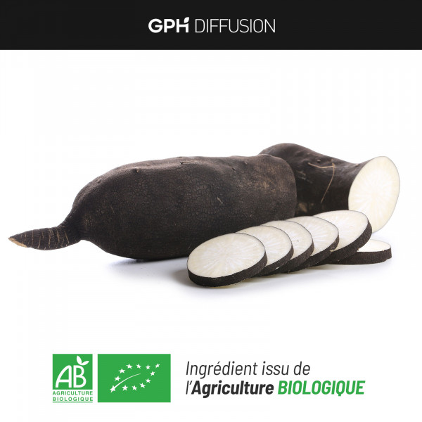 Radis Noir bio - 200 gélules