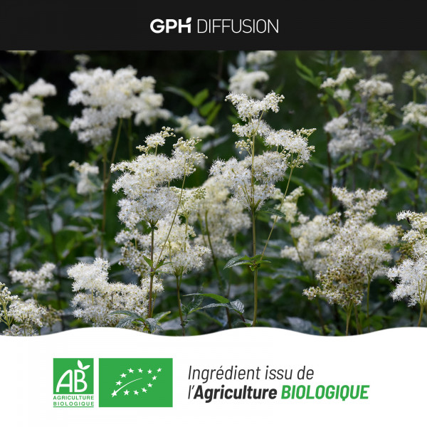 Reine des Prés Bio - 215 mg - 200 gélules végétales