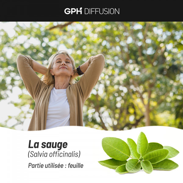 Sauge feuille biologique 230 mg