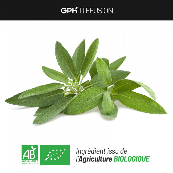 Sauge feuille biologique 230 mg