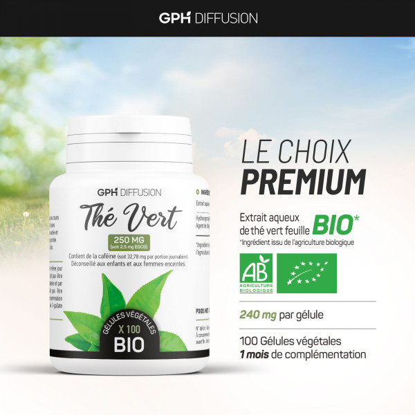 thé vert 200 gélules végétales à 250mg