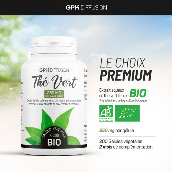 thé vert 200 gélules végétales à 250mg