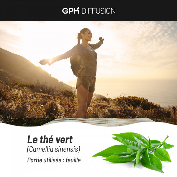 thé vert 200 gélules végétales à 250mg
