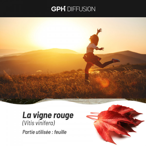 Vigne rouge feuille biologique 250 mg
