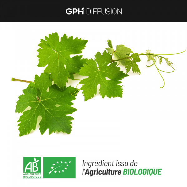 Vigne rouge feuille biologique 250 mg