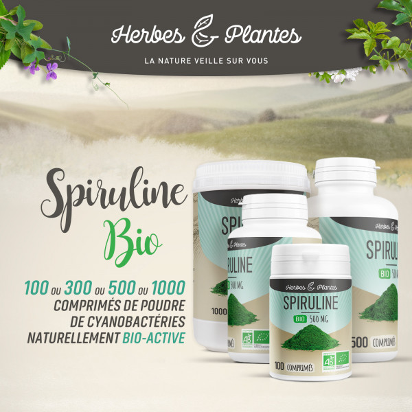 Spiruline Bio - 500 mg - comprimés - H&P