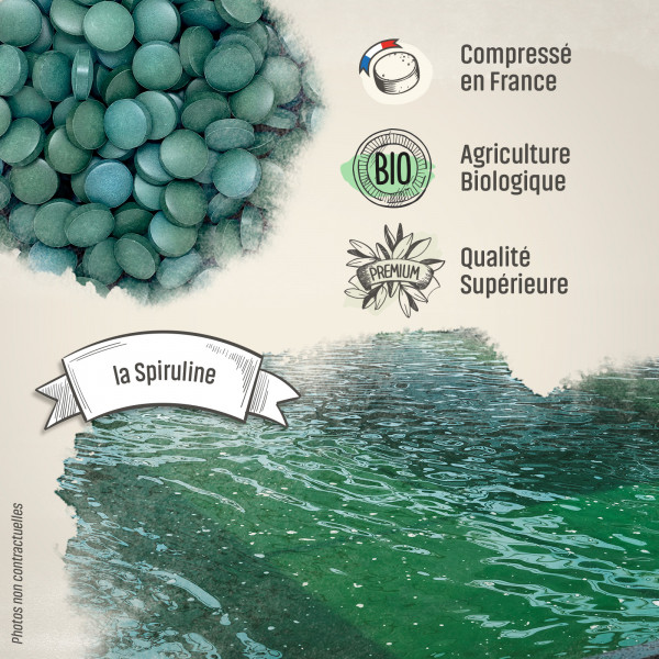 Spiruline Bio - 500 mg - comprimés - H&P