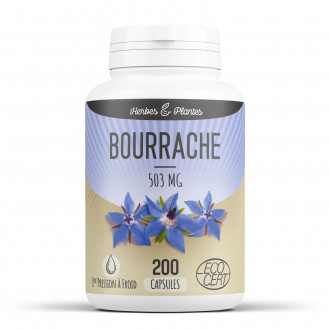 Bourrache Ecocert - 503 mg - 200 capsules