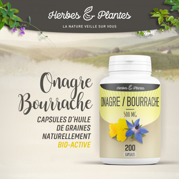 Onagre-Bourrache - 500 mg - 200 capsules - Herbes & Plantes