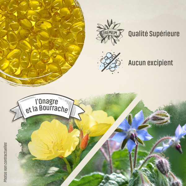 Onagre-Bourrache - 500 mg - 200 capsules - Herbes & Plantes