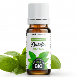Huile essentielle de Basilic Tropical Bio 10ml