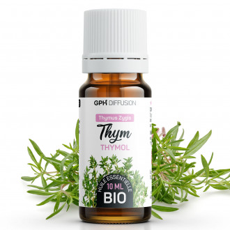 Huile Essentielle de Thym Thymol Bio