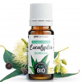 Huile Essentielle d'Eucalyptus Globulus Bio