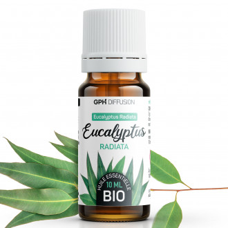 Huile Essentielle d'Eucalyptus Radiata Bio
