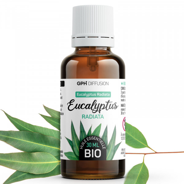 Huile Essentielle d'Eucalyptus Radiata Bio