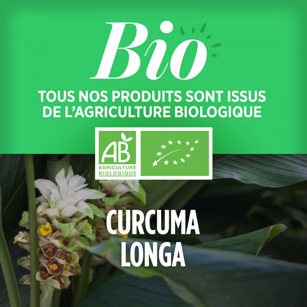 Curcuma Bio 400mg - 200 Comprimés
