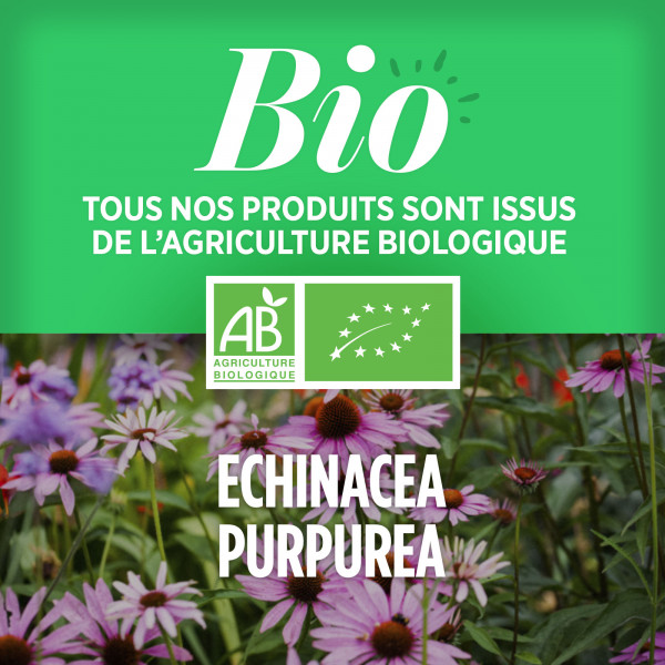 Echinacéa Bio 400 mg - comprimés