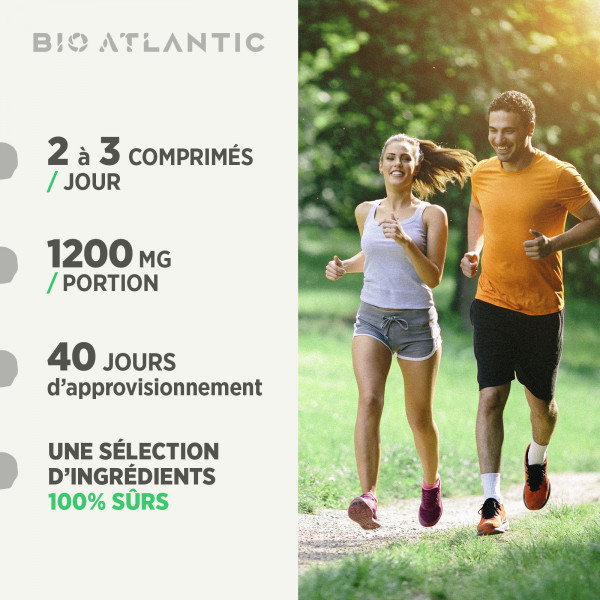 Curcuma Bio 400mg - 200 Comprimés