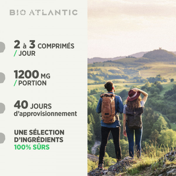 Echinacéa Bio 400 mg - comprimés
