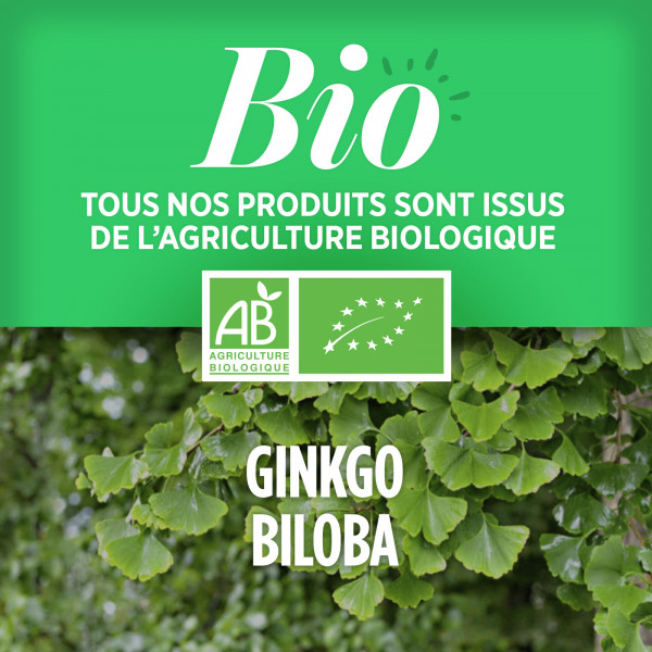 Ginkgo Biloba Bio - 300mg - Comprimés