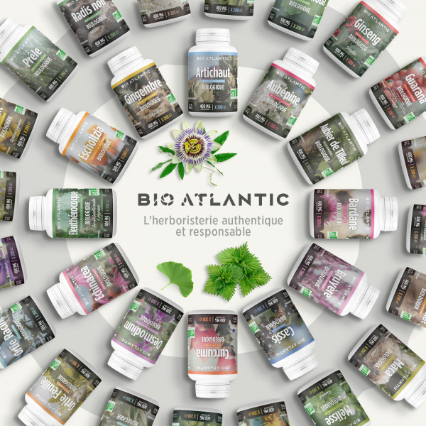 Ginseng Rouge Bio - 400mg 200 comprimés