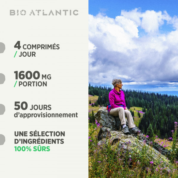 Mélisse Bio - 400mg - 200 comprimés
