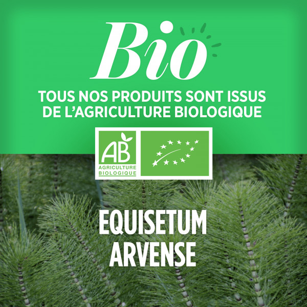 Comprimés Bio - Prêle 200