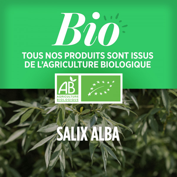 Saule Blanc Bio - 400 mg - Comprimés