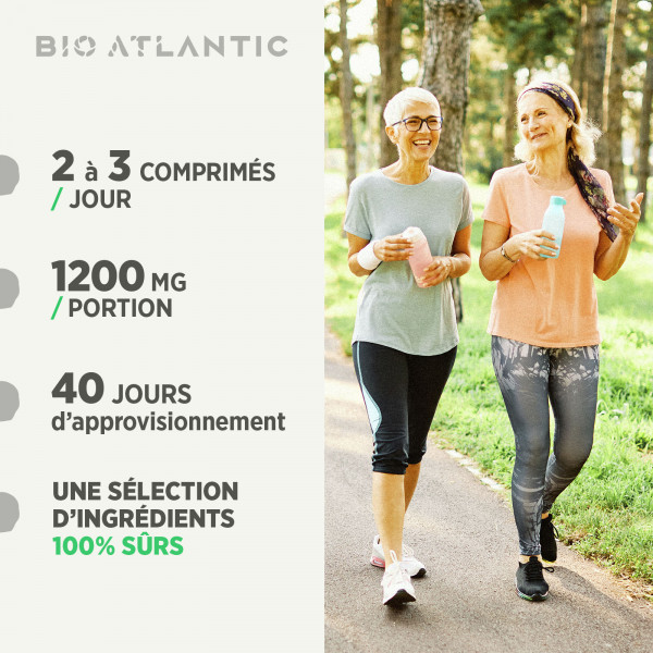 Saule Blanc Bio - 400 mg - Comprimés