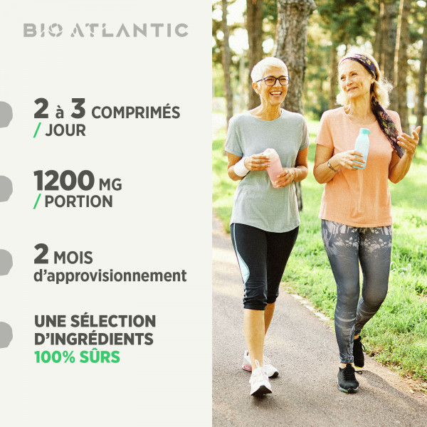 Saule Blanc Bio - 400 mg - Comprimés