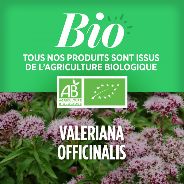 Valériane bio 400mg