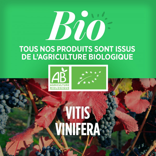 Complément alimentaire Vigne Rouge Bio - 200 comprimés