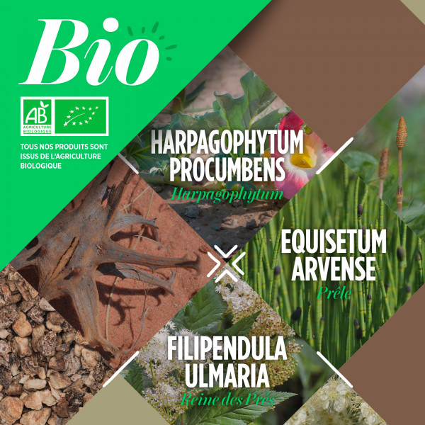 Articulation 200 - Comprimés Bio