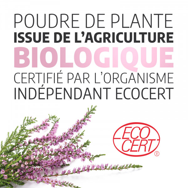 Bruyère Ecocert 230 mg - gélules